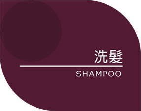 風信子髮型專業工作室-服務項目 <em>Service</em>