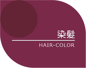 風信子髮型專業工作室-服務項目 <em>Service</em>