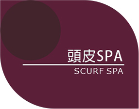 風信子髮型專業工作室-服務項目 <em>Service</em>